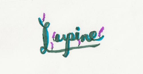 lupine lettering.jpeg